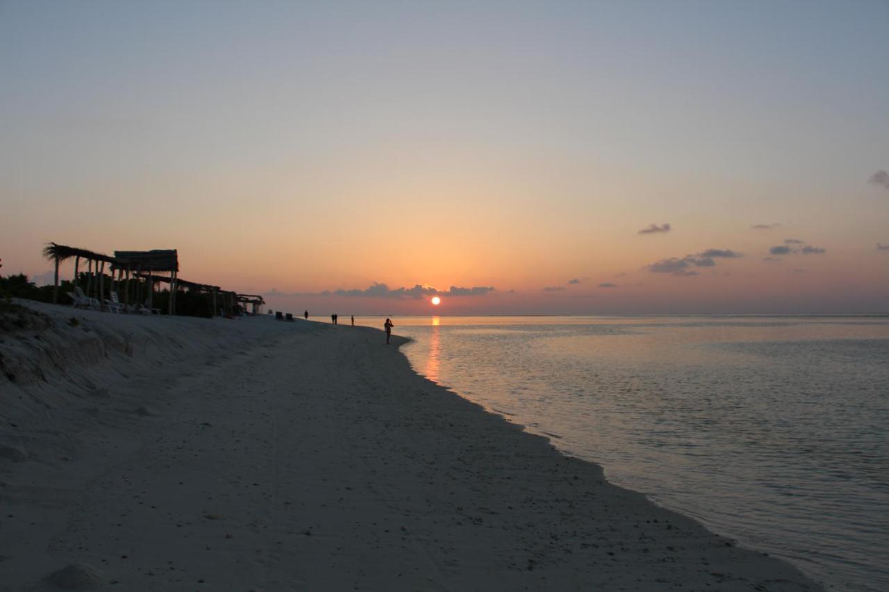The Castaway Retreat 2* Feridhoo