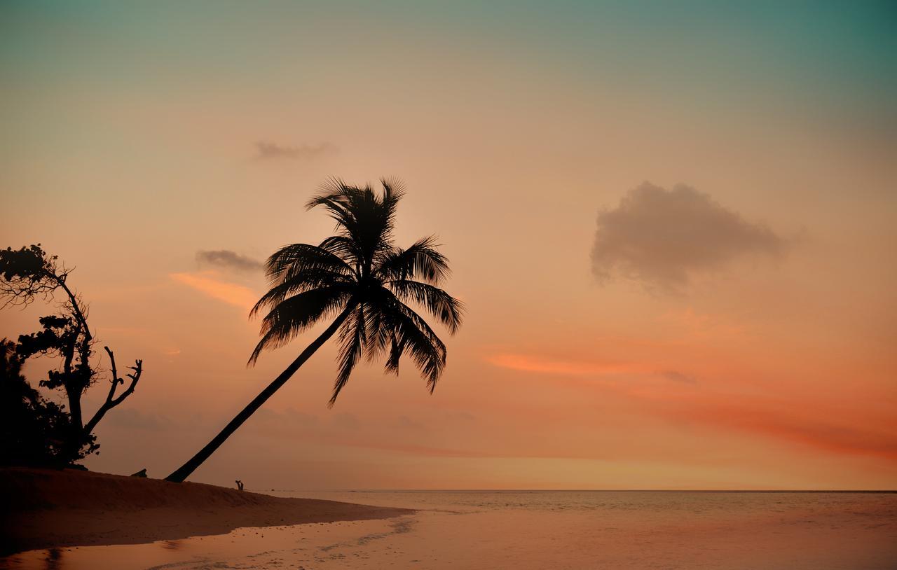 The Castaway Retreat 2* Feridhoo